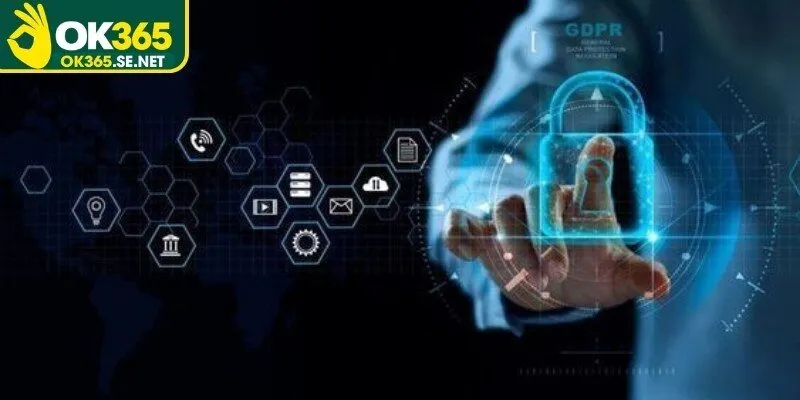Tìm hiểu quy định an toàn trong chính sách bảo mật website