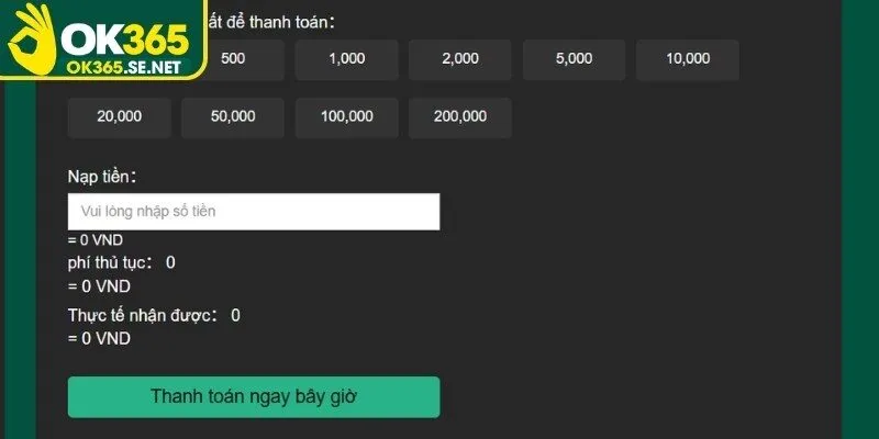 Giải đáp các vấn đề thường gặp về quy trình nạp vốn vào tài khoản